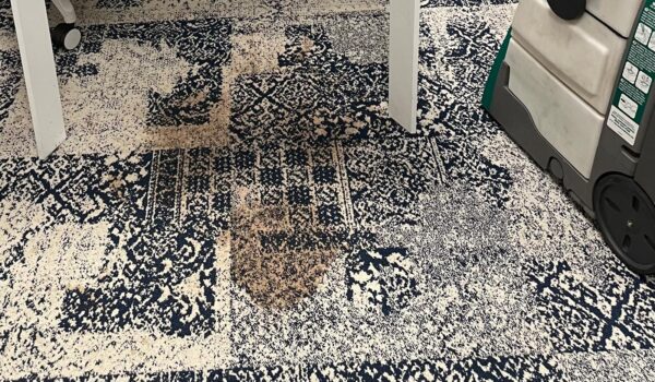 CARPET CLEANING - Image 3