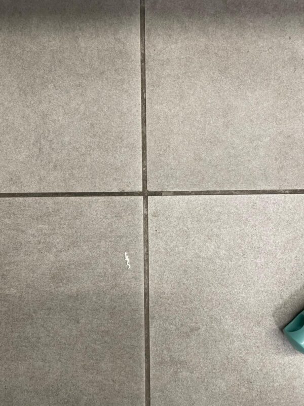 NON-CARPETED FLOOR CLEANING - Image 9