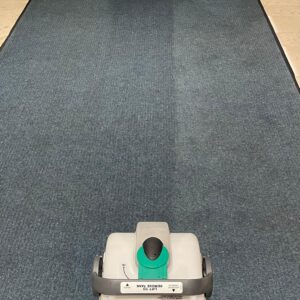 CARPET CLEANING